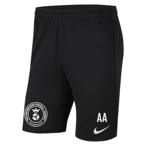 Nike Park 20 Pocketed Shorts (M)