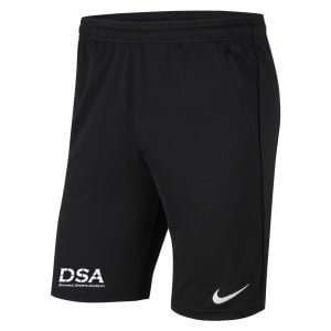 Nike Park 20 Pocketed Shorts (M)