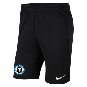 Nike Park 20 Pocketed Shorts (M)