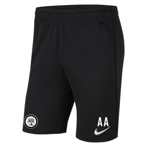 Nike Park 20 Pocketed Shorts (M)