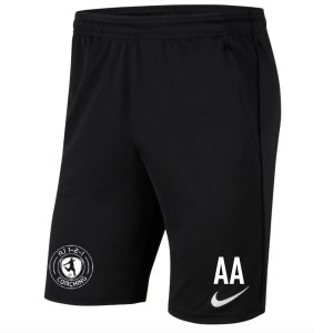 Nike Park 20 Pocketed Shorts (M)