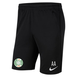 Nike Park 20 Pocketed Shorts (M)