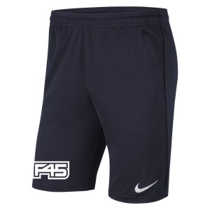 Nike Park 20 Pocketed Shorts (M)