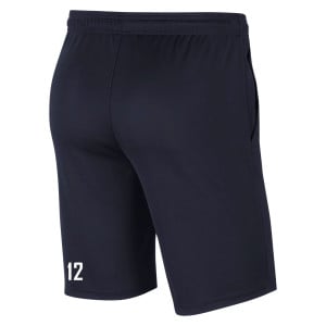 Nike Park 20 Pocketed Shorts (M)