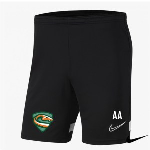 Nike Academy 21 Knit Training Shorts