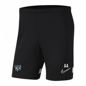 Nike Academy 21 Knit Training Shorts