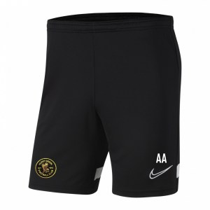 Nike Academy 21 Knit Training Shorts (M)