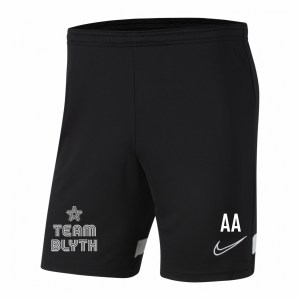 Nike Academy 21 Knit Training Shorts