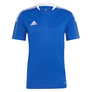 adidas Tiro 21 Jersey (M)