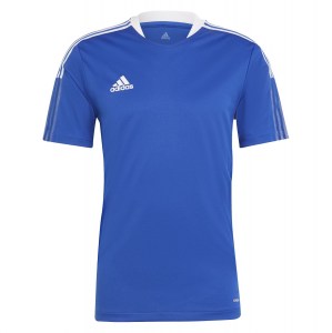 adidas Tiro 21 Jersey (M) Team Royal Blue