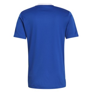 adidas Tiro 21 Jersey (M) Team Royal Blue