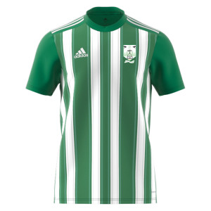 adidas Striped 21 Jersey