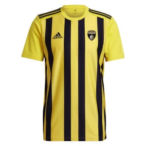 adidas Striped 21 Jersey