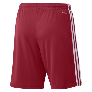 adidas Squadra 21 Shorts (M)