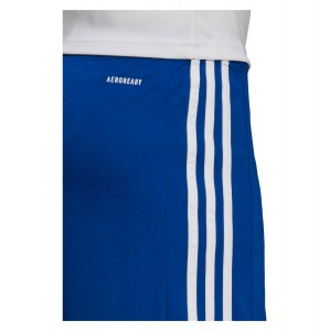 adidas Squadra 21 Shorts (M) Team Royal Blue-White