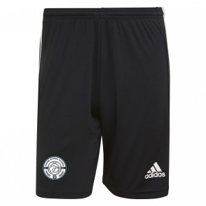 adidas Tiro 21 Training Shorts (M)