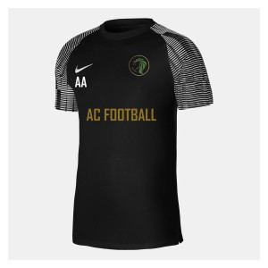 Nike Academy Short Sleeve Jersey