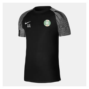 Nike Academy Short Sleeve Jersey