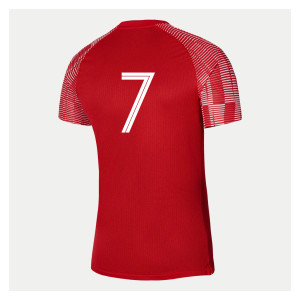 Nike Academy Short Sleeve Jersey