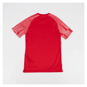 Nike Academy Short Sleeve Jersey