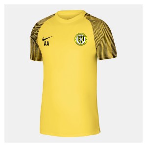 Nike Academy Short Sleeve Jersey Tour Yellow-Black-Black