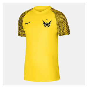 Nike Academy Short Sleeve Jersey Tour Yellow-Black-Black