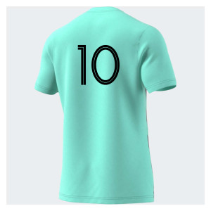 adidas Entrada GFX Jersey Clear Mint-Team Grey Four