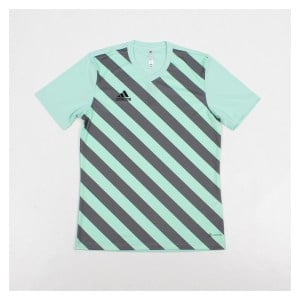 adidas Entrada GFX Jersey Clear Mint-Team Grey Four