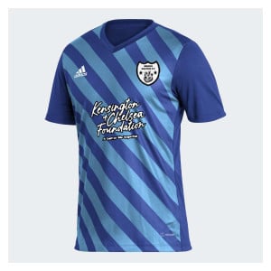 adidas Entrada GFX Jersey Team Royal Blue-App Sky Rush