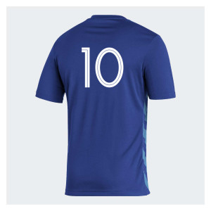 adidas Entrada GFX Jersey Team Royal Blue-App Sky Rush