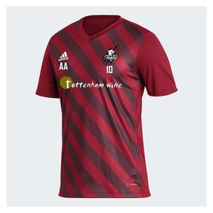 adidas Entrada GFX Jersey