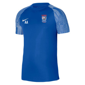 Nike Academy Short Sleeve Jersey