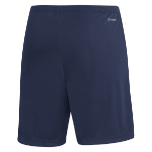 adidas Entrada 22 Shorts