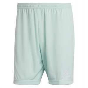 adidas Entrada 22 Shorts Clear Mint