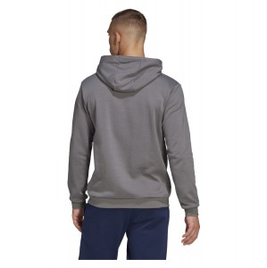 adidas Entrada 22 Hoodie