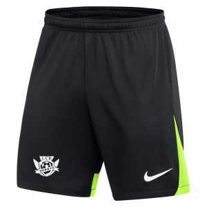 Nike Dri-FIT Academy Pro Shorts