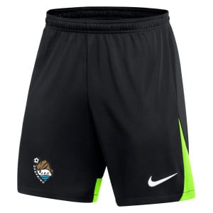 Nike Dri-FIT Academy Pro Shorts