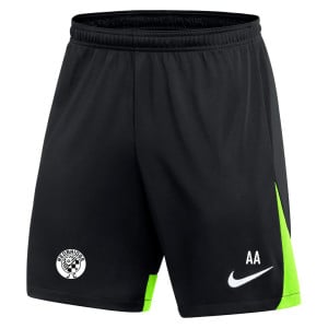 Nike Dri-FIT Academy Pro Shorts