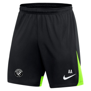 Nike Dri-FIT Academy Pro Shorts