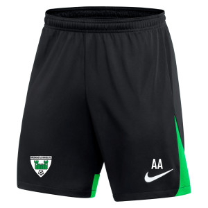 Nike Dri-FIT Academy Pro Shorts