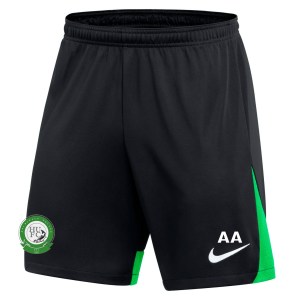 Nike Dri-FIT Academy Pro Shorts