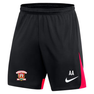 Nike Dri-FIT Academy Pro Shorts Black-Bright Crimson-White