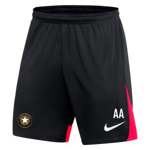 Nike Dri-FIT Academy Pro Shorts