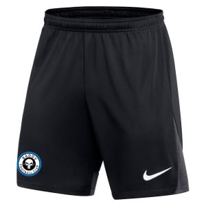 Nike Dri-FIT Academy Pro Shorts