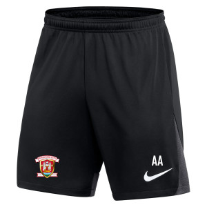 Nike Dri-FIT Academy Pro Shorts