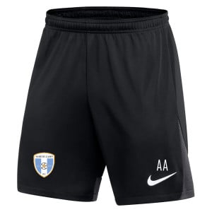 Nike Dri-FIT Academy Pro Shorts