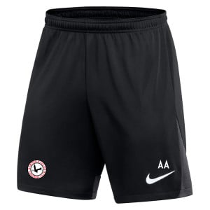 Nike Dri-FIT Academy Pro Shorts