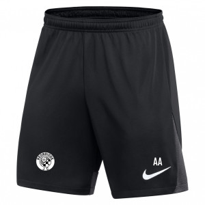 Nike Dri-FIT Academy Pro Shorts Black-Anthracite-White