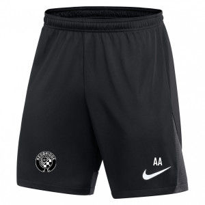 Nike Dri-FIT Academy Pro Shorts Black-Anthracite-White