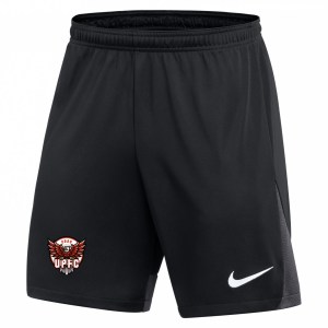 Nike Dri-FIT Academy Pro Shorts